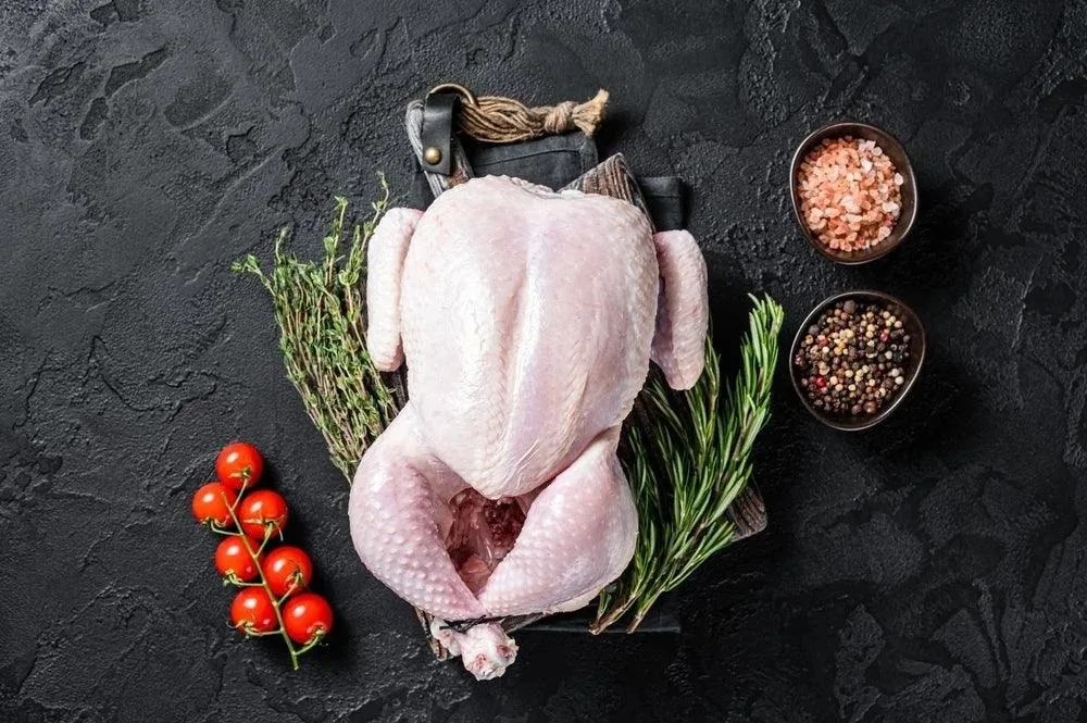 Pollo halal en Reus