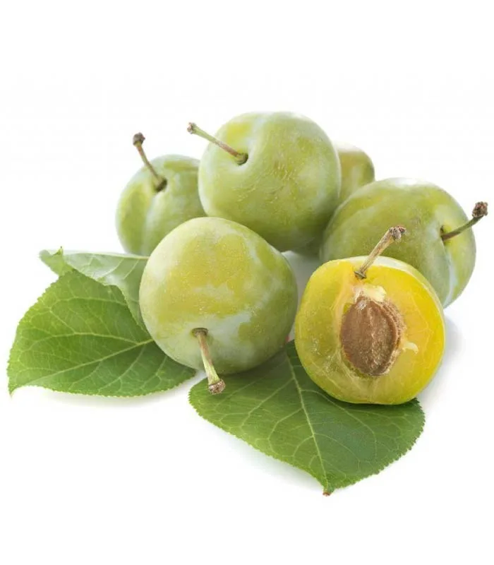 Ciruela Claudia