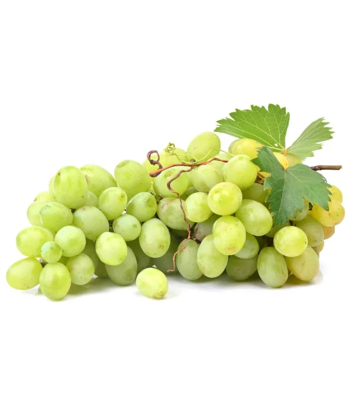 Uva Blanca Extra