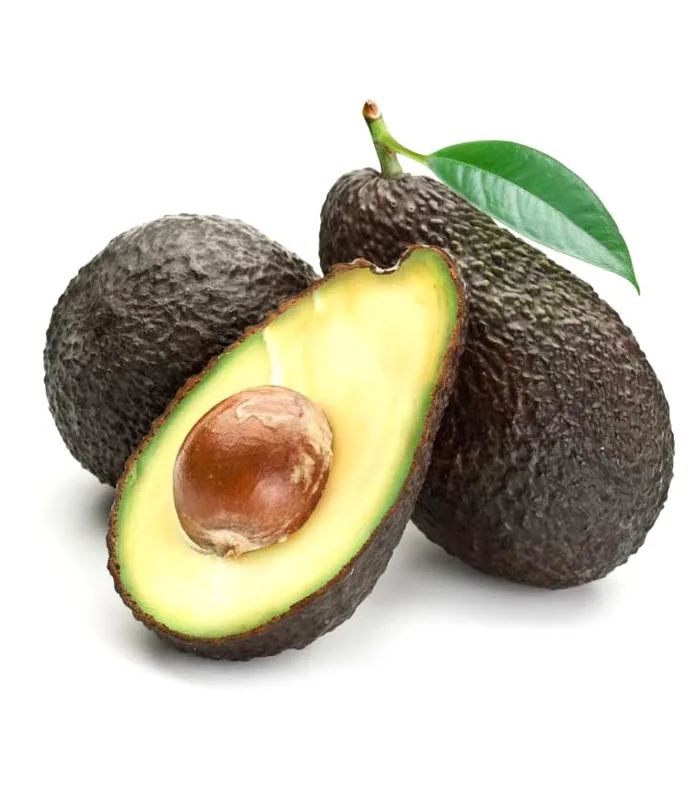 Aguacate Hass