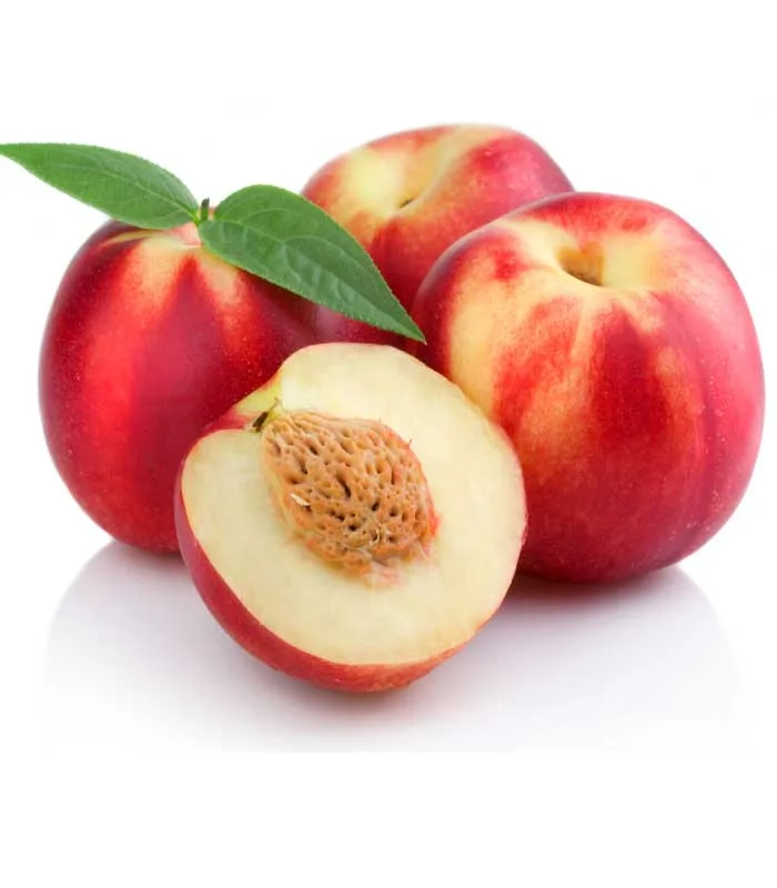Nectarina Extra