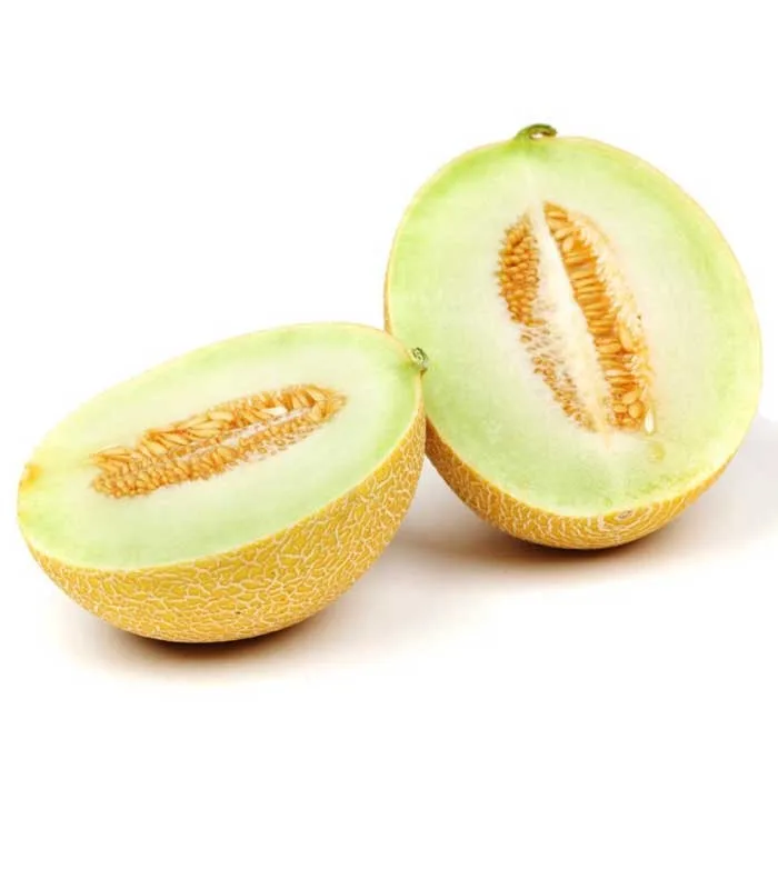 Melón Galia 1ª