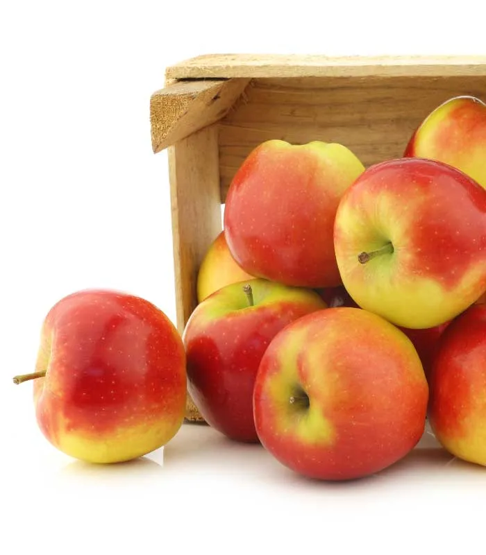 Manzana Ambrosia