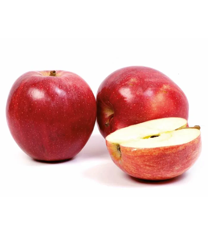 Manzana Royal Gala Extra