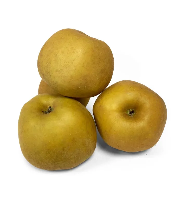 Manzana Reineta Parda