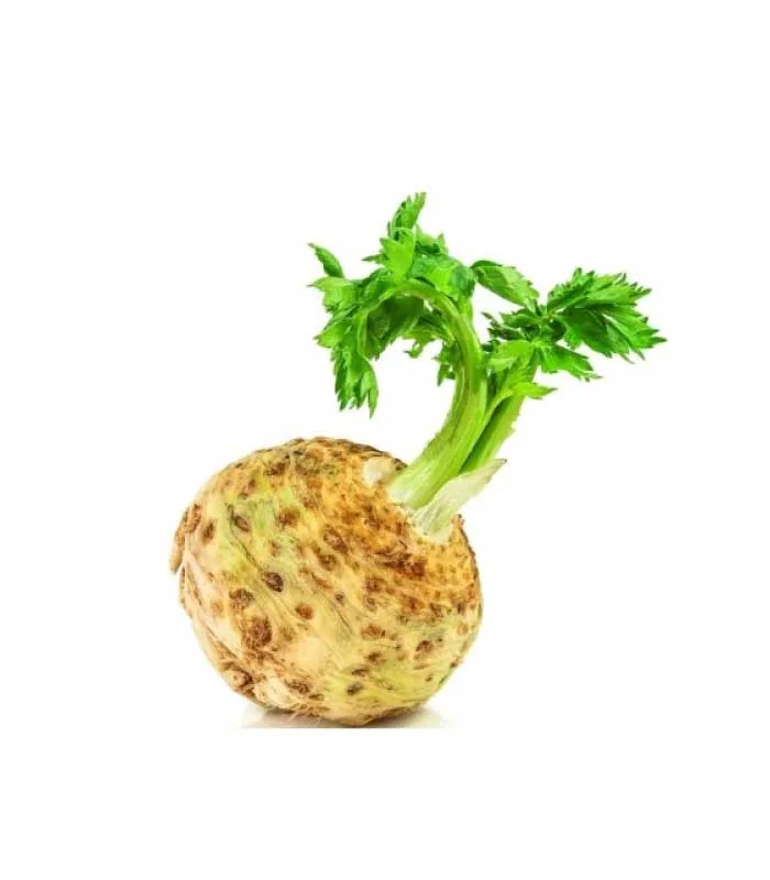 Bulbo de Apio