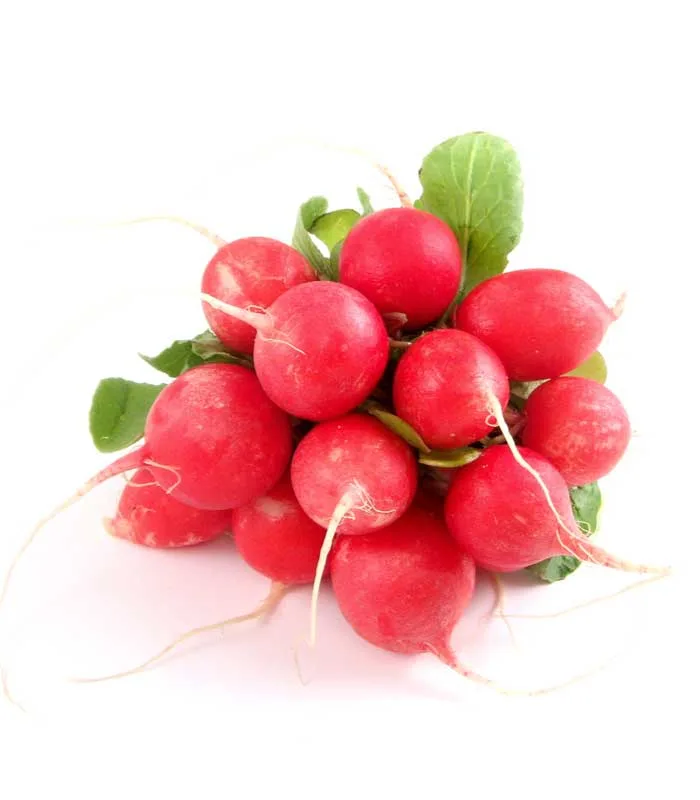 Rabanitos Manojo