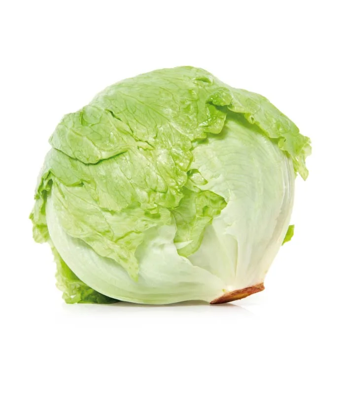 Lechuga Iceberg