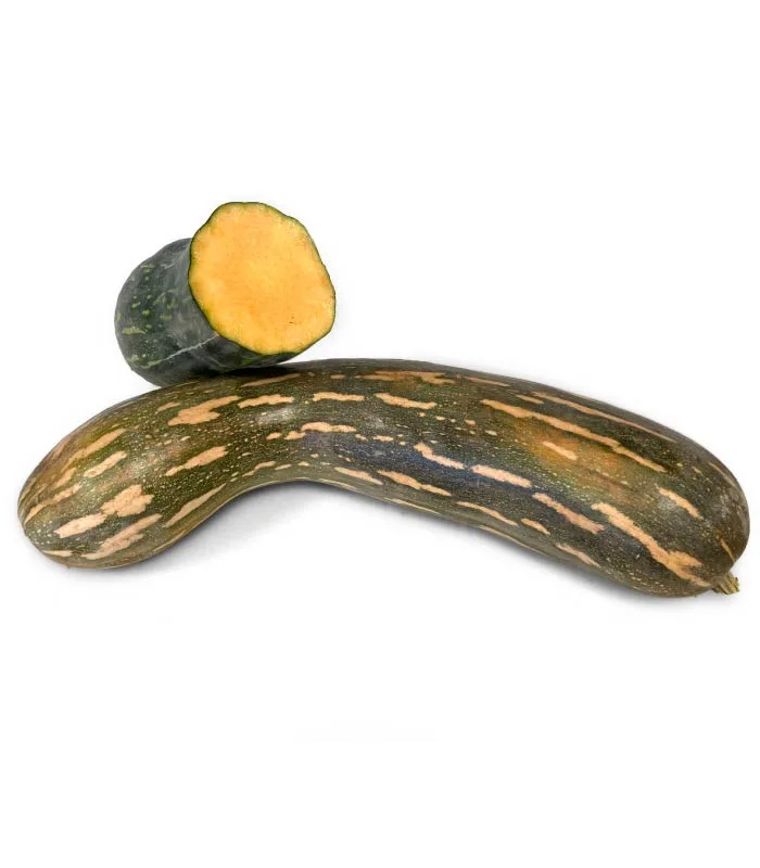 Calabaza Carruecano