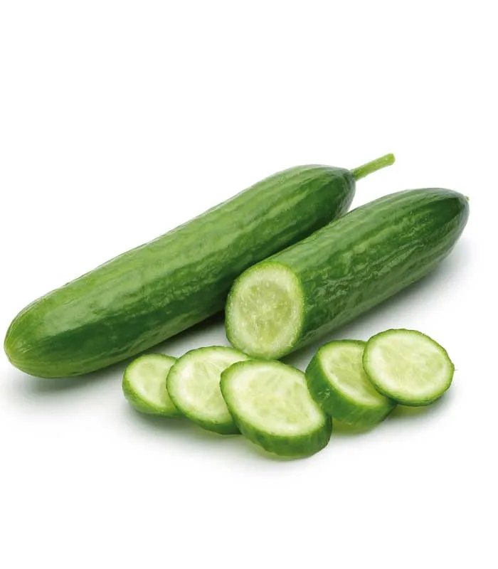 Pepino Holandés