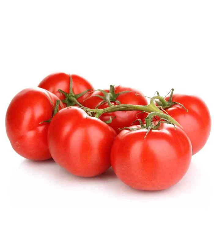 Tomate Rama