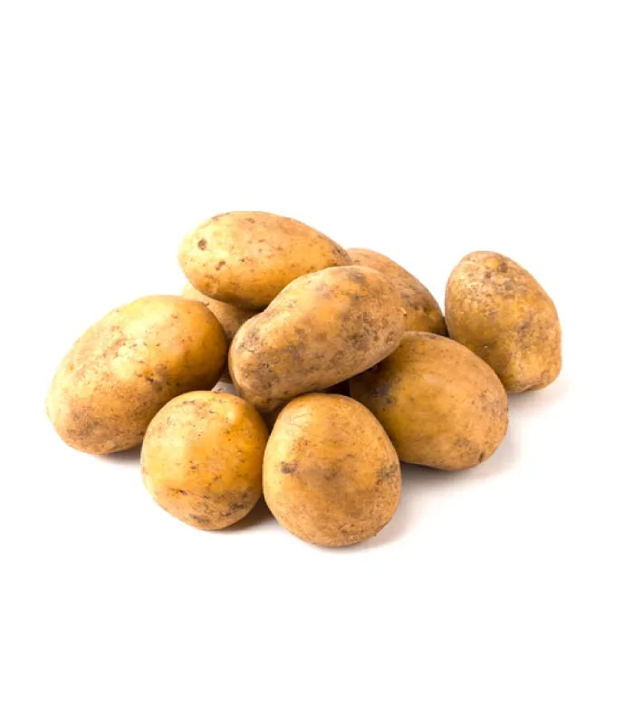 Patata del Terreno