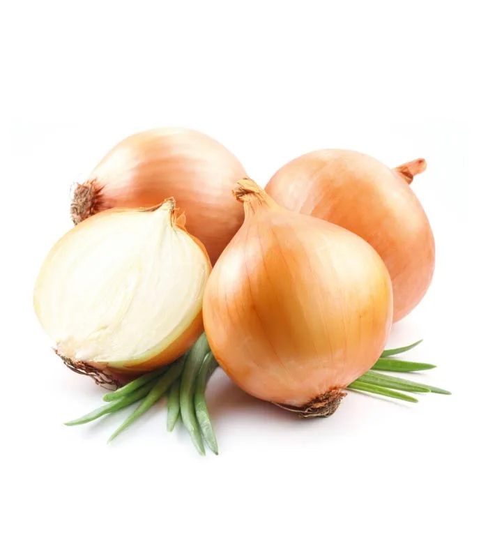 Cebolla
