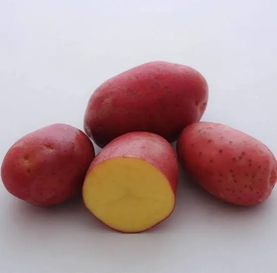 patata roja